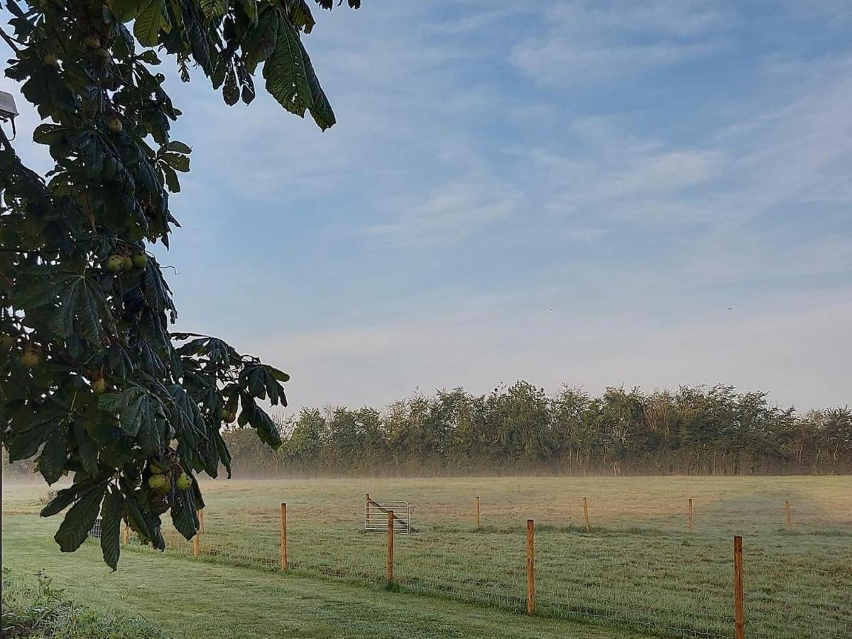 Bed & Breakfast Great Sampford Sorrells Farm Hempstead (Essex)