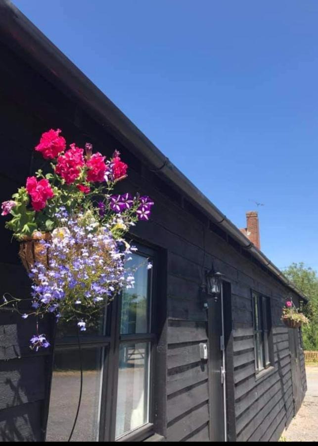 Great Sampford Sorrells Farm Bed & Breakfast *