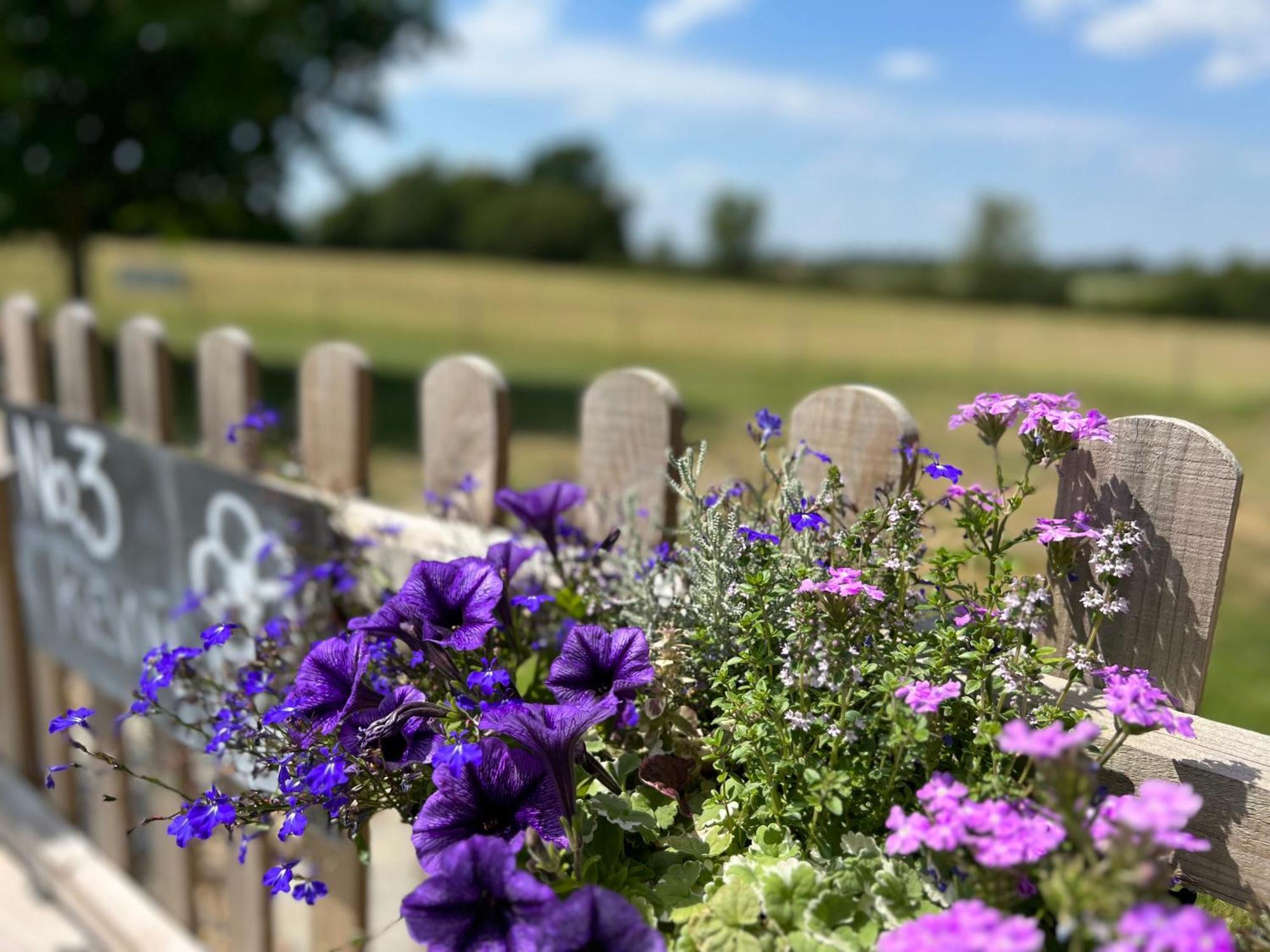 Bed & Breakfast Great Sampford Sorrells Farm